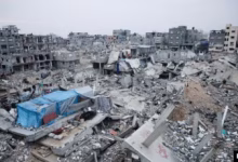 গাজায় ফের ইসরায়েলি হামলায় নিহত ৭২, মোট মৃতের সংখ্যা ছাড়াল ৫৬ হাজার