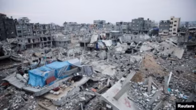 গাজায় ফের ইসরায়েলি হামলায় নিহত ৭২, মোট মৃতের সংখ্যা ছাড়াল ৫৬ হাজার